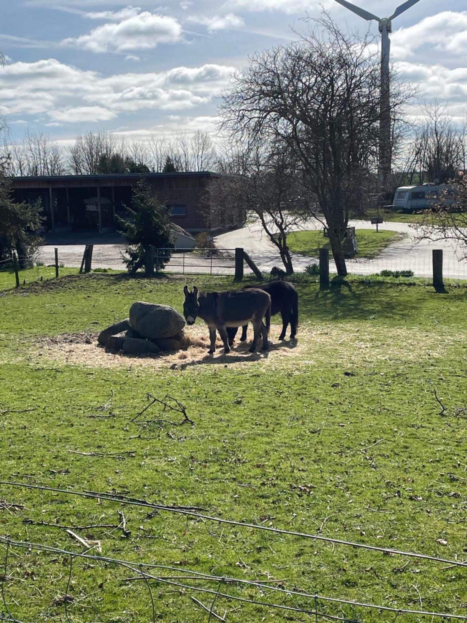 Apartmán Beltblick Fehmarn Exteriér fotografie