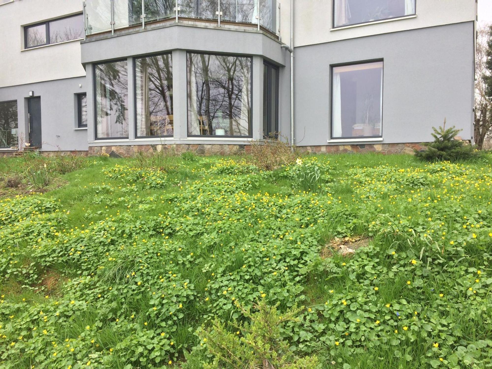 Apartmán Beltblick Fehmarn Exteriér fotografie
