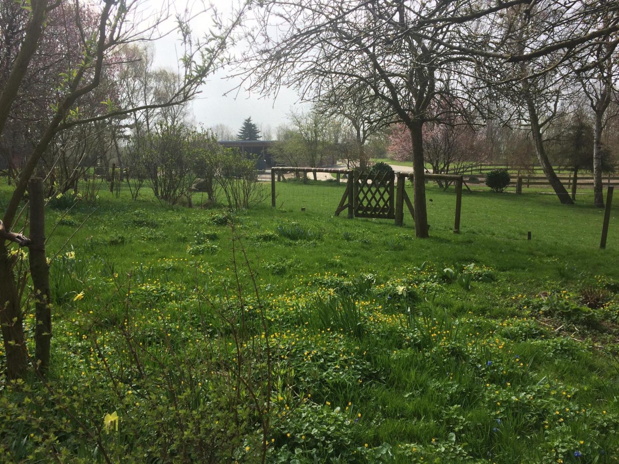Apartmán Beltblick Fehmarn Exteriér fotografie